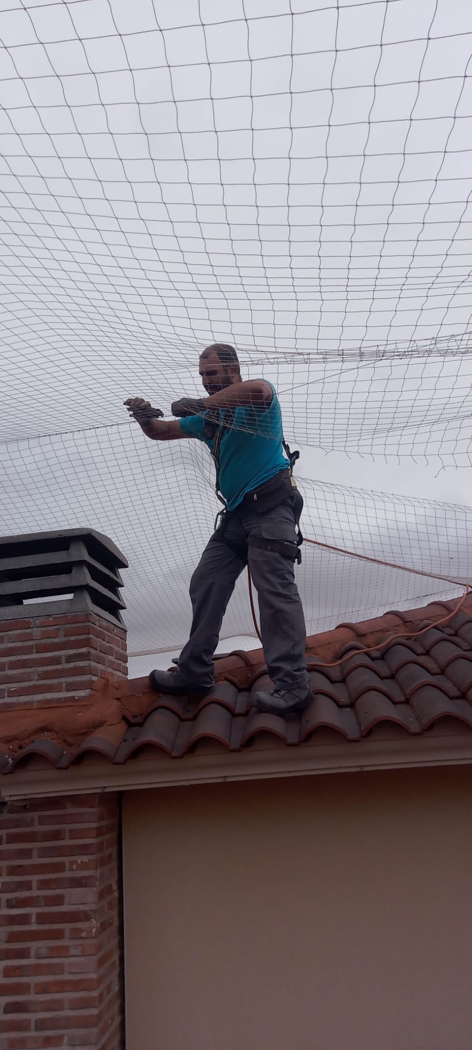 Instalación de sistemas anti-aves